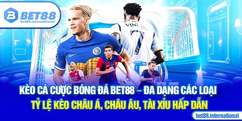 Kèo cá cược bóng đá BET88 - Đa dạng các loại tỷ lệ kèo Châu Á, Châu Âu, Tài Xỉu hấp dẫn